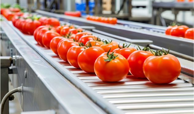 tomatoes