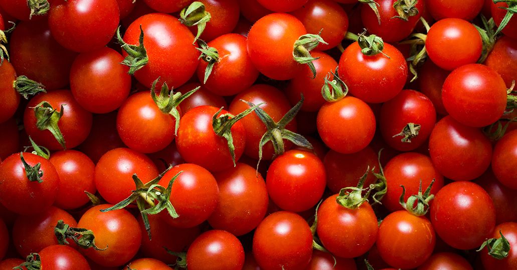 tomatoes