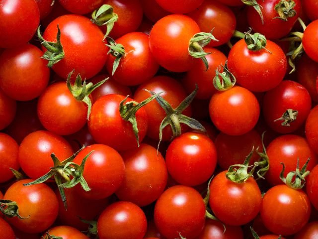 tomatoes