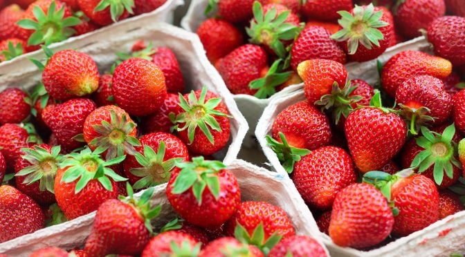 Red ripe juice fresh organic strawberry packed in eco friendly paper cardboard boxed at wholesale storage market for transportation and shipping export and import. Nutritious healthy berry diet food
